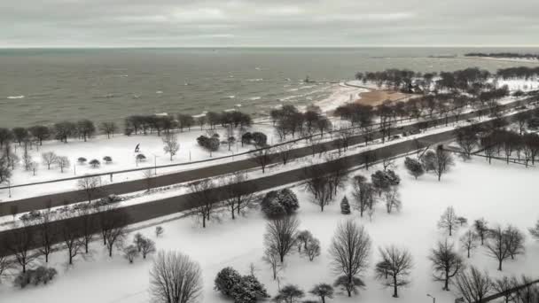 Chicago, IL - 19. Januar 2019: Kahle Bäume zeichnen sich durch eine Schneedecke aus und bedecken die Uferpromenade des Lake Michigan, während der Verkehr auf dem Lake Shore Drive im Edgewater-Viertel vorbeifährt.. — Stockvideo