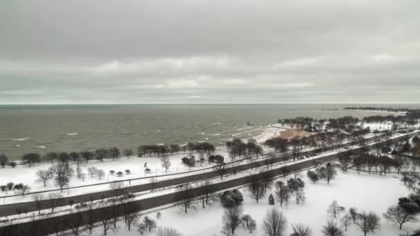 Chicago, IL - 19 januari 2019: Kala träd sticker ut som snötäcken och filtar sjön Michigan sjön med trafik som kör förbi på Lake Shore Drive i Edgewater grannskapet. — Stockvideo