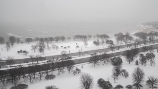 Vinter väder timelapse av Lake Michigan sjön sjön och trafik på Lake Shore Drive på Chicagos norra sida medan det snöar och allt inklusive träden är täckta i vitt. — Stockvideo