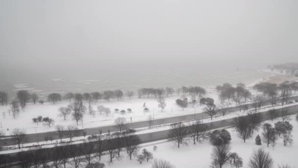 Schwenken des Seeufers des Lake Michigan und des Verkehrs auf dem Lake Shore Drive an Chicagos Nordseite, während es schneit und alles, einschließlich der Bäume, weiß ist. — Stockvideo
