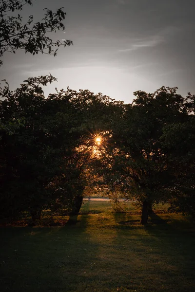 Orangefarbener Sonnenaufgang Als Lichtstrahlen Durch Die Äste Einiger Bäume Auf — Stockfoto