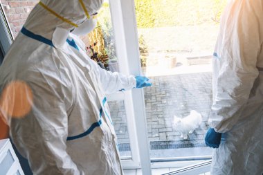 Medical professionals close house door for cat domestic animal to prevent others for COVID-19 infection at coronavirus epidemic