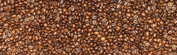 Roasted Coffee Beans Background Texture Backdrop Banner Size — Stockfoto