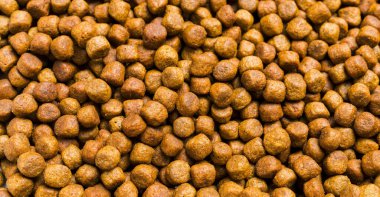 En sevdiğiniz hayvanlar için kedi maması, besleyici, vitamin, dağınık 