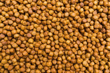 En sevdiğiniz hayvanlar için kuru kedi maması, besleyici, vitamin, dağınık 