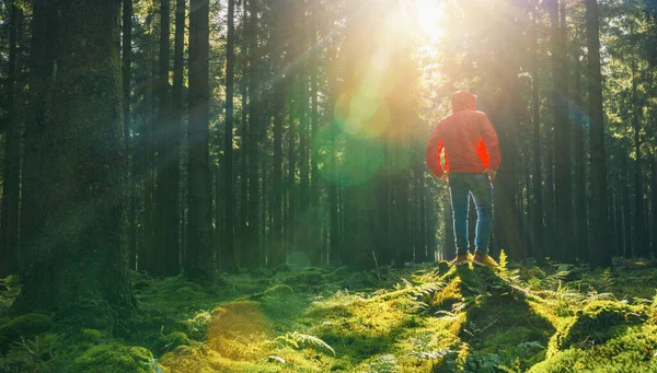 Jeune Homme Debout Dans Forêt Verte Avec Veste Rouge Jouit — Photo