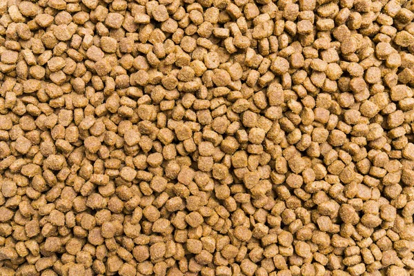 Dry food for dogs and cats. Pet meal background texture