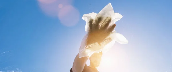 Detergente Finestre Pulisce Finestra Con Panno Pulizia Una Giornata Sole — Foto Stock