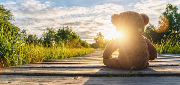 Teddy bear sitting on a Wooden path at sunset. copyspace for your individual text.