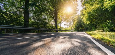 Yazın Alp Dağları 'ndaki Uzun Kavisli Orman Yolu