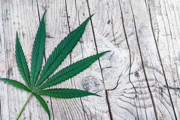 Cannabisblatt Auf Altem Holztisch — Stockfoto