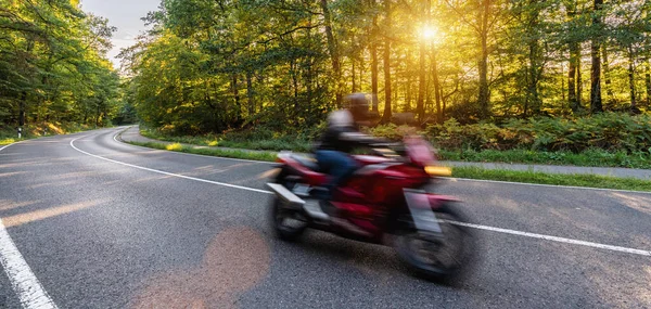 森の道を速く走るバイクだ オートバイツアーで空の道を走るのが楽しい 個々のテキストのコピースペースは — ストック写真