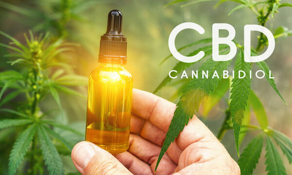 Лекарственный конопли CBD экстракт масла в бутылку. Концепция травяной альтернативной медицины, cbd нефти, фармацевтической промышленности
