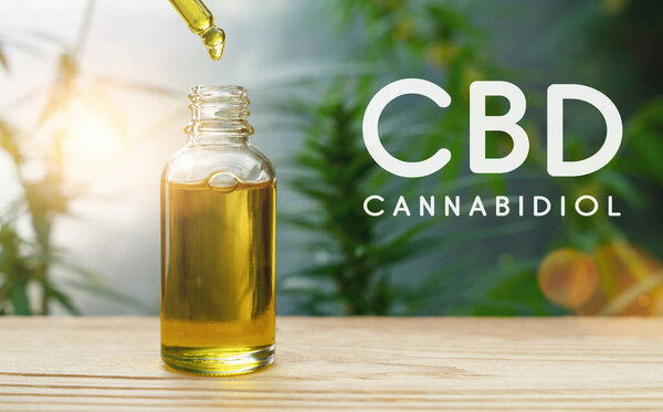 Экстракты конопли CBD масла в банках травы и листья. Концепция медицинской марихуаны