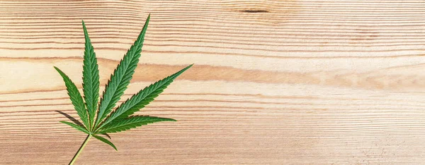 Weibliches Marihuana Blatt Auf Hölzernem Hintergrund Bannergröße Kopierraum Für Ihren — Stockfoto