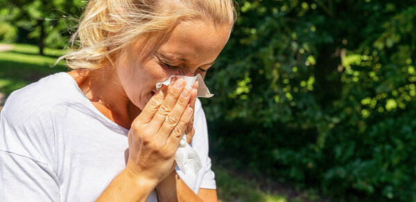 Panorama of sick or allergic woman sneezing with tissue
