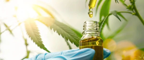 CBD a alkohol