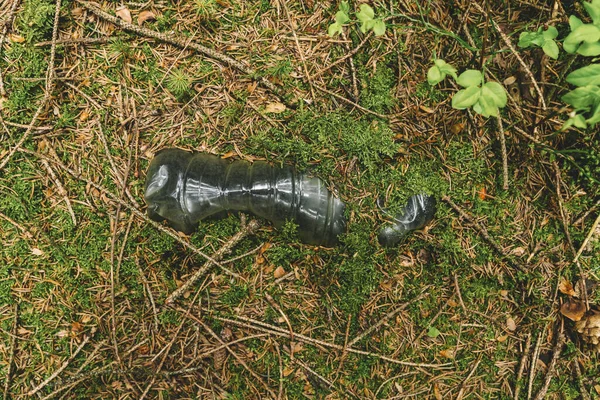 Garrafa Plástico Apodreceu Floresta Poluição Conceito Meio Ambiente — Fotografia de Stock