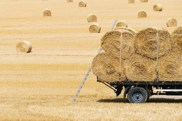 Landwirtschaftlicher Acker Mit Rundballen Eines Anhängers Mit Leiter — Stockfoto