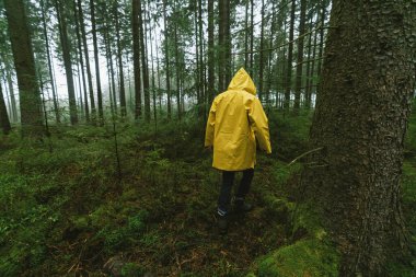Sarı yağmurluklu adam ürkütücü ve sisli ormana doğru yürür.