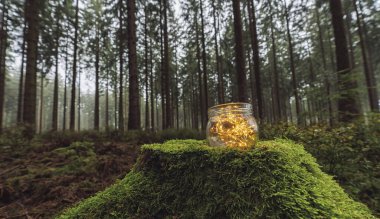 Sisli bir ormanda kurşundan çıkan ışıklarla şeffaf bir kavanoz. Romantik Hippi Konsepti. bireysel metniniz için kopyalama alanı
