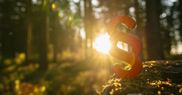 Paragraphe Symbole Loi Justice Dans Soleil Forêt Profonde Sur Tronc — Photo