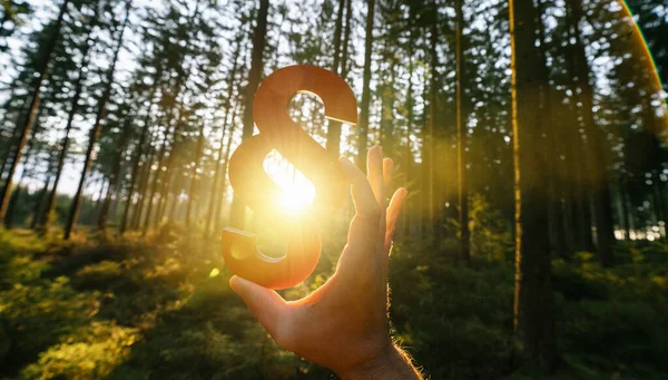 Mano Sostiene Letrero Rojo Del Párrafo Adentro Sol Bosque Símbolo — Foto de Stock