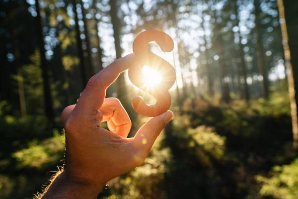 Hand Håller Punkt Tecken Till Solen Vid Skog Symbol För — Stockfoto