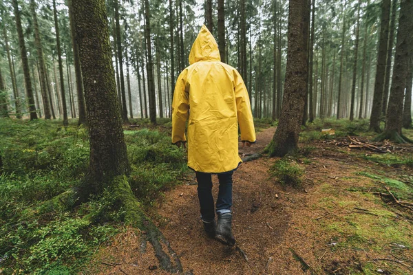 Turista Žlutým Pláštěm Přijde Podzim Lesa — Stock fotografie