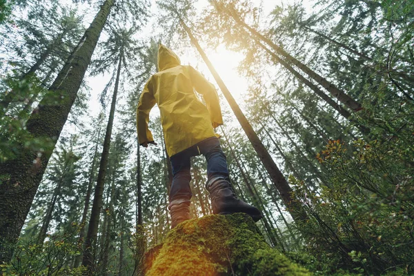 Jeune Homme Debout Sur Tronc Arbre Dans Forêt Regardant Sommet — Photo