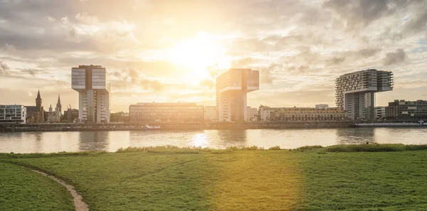 Cologne Crane Maisons Prairie Des Électeurs Coucher Soleil Allemagne — Photo