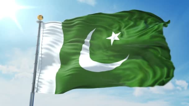 Pakistan Flaggt Nahtlose Rendering Videos Looping Technik Enthält Isoliert Auf — Stockvideo