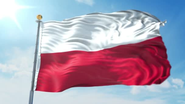 Polonia Bandera Perfecta Bucle Renderizado Vídeo Incluye Aislado Pantalla Verde — Vídeos de Stock