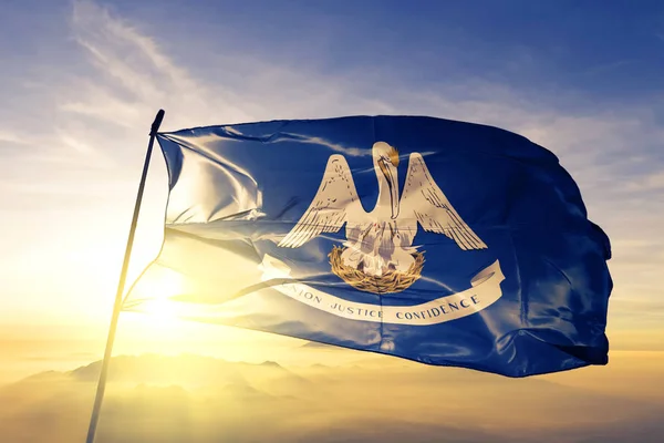 Υπηρεσιών Κράτος Των Ηνωμένων Πολιτειών Λουιζιάνα Πανί Ύφασμα Σημαία Κυματίζει — Φωτογραφία Αρχείου