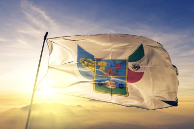 Hidalgo devlet Meksika bayrağı tekstil kumaş üst gündoğumu sis sis üzerinde sallayarak