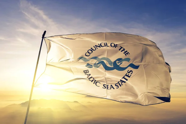 Consejo Los Estados Del Mar Báltico Tela Tela Bandera Cbss — Foto de Stock