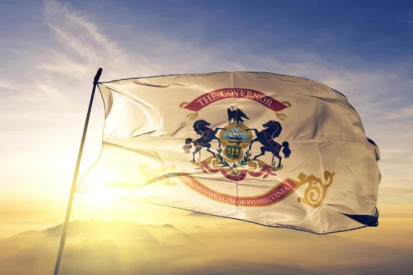 Gobernador Bandera Pensilvania Tela Textil Ondeando Niebla Niebla Salida Del —  Fotos de Stock
