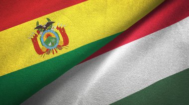 Bolivya ve Macaristan bayrakları birlikte ilişkiler tekstil kumaş, kumaş doku