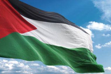 Palestine bayrak sallayarak Sky 3d resimde arka plan