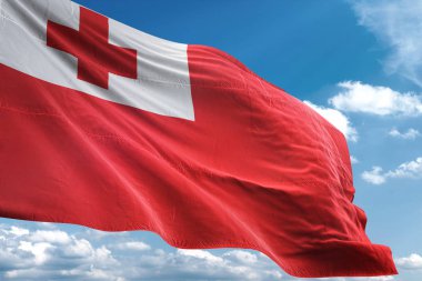 Tonga bayrak sallayarak Sky 3d resimde arka plan