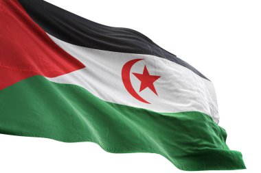 Batı Sahra bayrak sallayarak izole beyaz arka plan 3d çizim