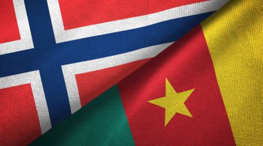 Norveç ve Kamerun iki bayraklar tekstil kumaş, kumaş doku 