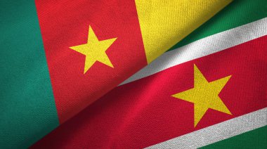 Kamerun ve Surinam iki bayrak tekstil kumaş, kumaş doku