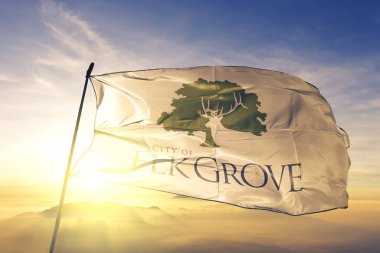 Kaliforniya 'dan Elk Grove ABD bayrağı sallıyor