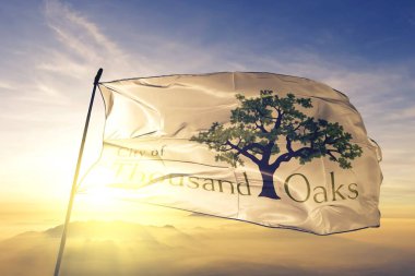 Thousand Oaks of California of United States flag waving clipart