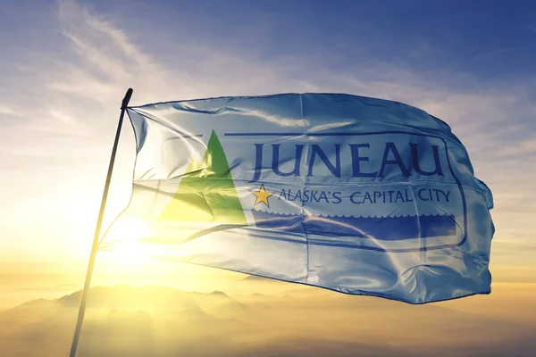 Juneau Dell Alaska Bandiera Degli Stati Uniti Sventola — Foto Stock