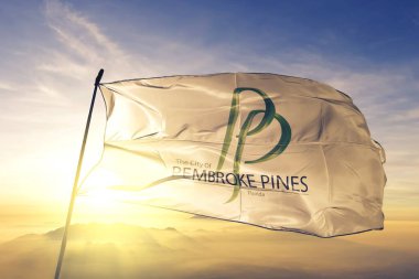 Pembroke Pines of Florida of United States flag waving clipart