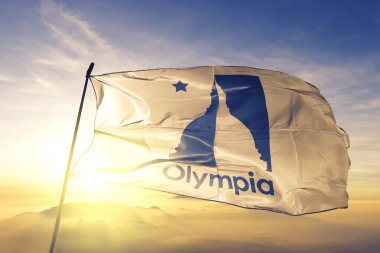 ABD bayrağı dalgalanan Olympia of Washington