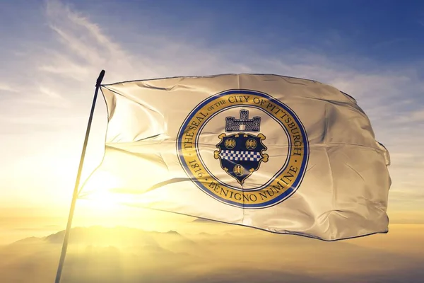 Pittsburgh Pensilvânia Bandeira Dos Estados Unidos Acenando — Fotografia de Stock