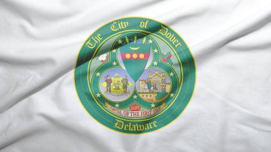 Amerika Birleşik Devletleri 'nden Dlaware bayrağı kumaş dokusu arka planında
